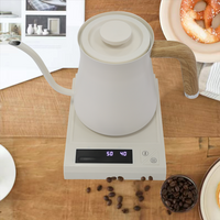 700ml Spout Japanese Style Stainless Steel Electric Kettle Hot Water Kettle Tea Pour Over Gooseneck Kettle Drip Coffee