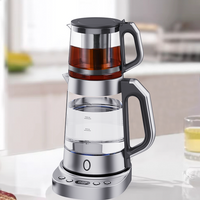 Multi-section Temperature-controlled Electric Glass Kettle 304Stainless Steel Tea Strainer Tea Maker With Tray