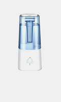 Humidifier