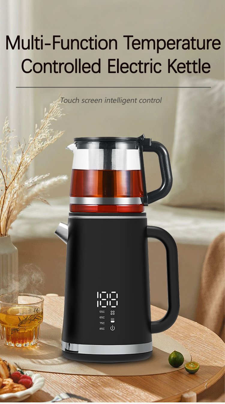 Multi-Function Temperature Controlled Electric Kettle