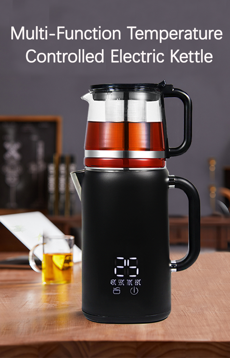 Multi-Function Temperature Controlled Electric Kettle