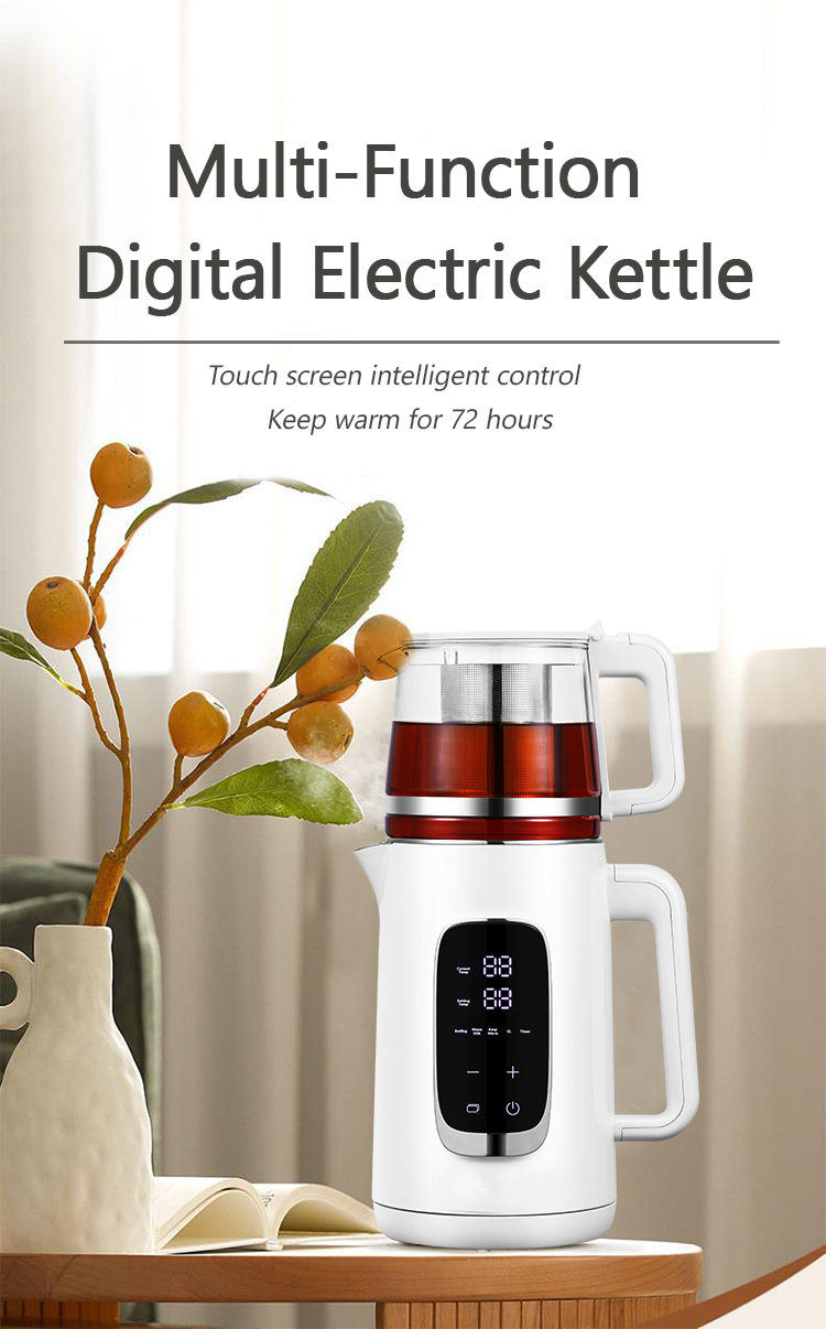Multi-Function Digital Electric Kettle